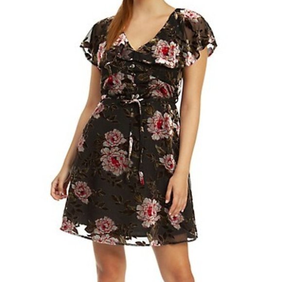 (NWT) Dex Velvet Floral Fit and Flare Dress - Picture 1 of 9